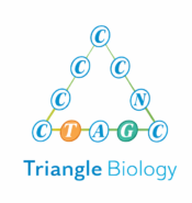Triangle Biology